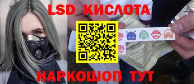 прущие грибы Абакан
