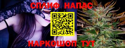 прущие грибы Абакан
