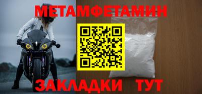 прущие грибы Абакан