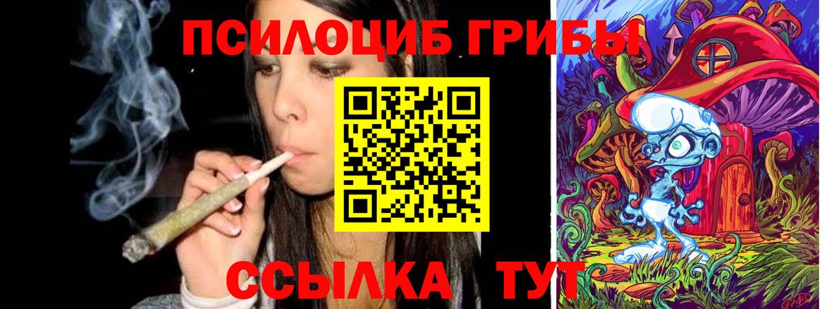 Алейск  Псилоцибиновые грибы мицелий  Вход с VPN 