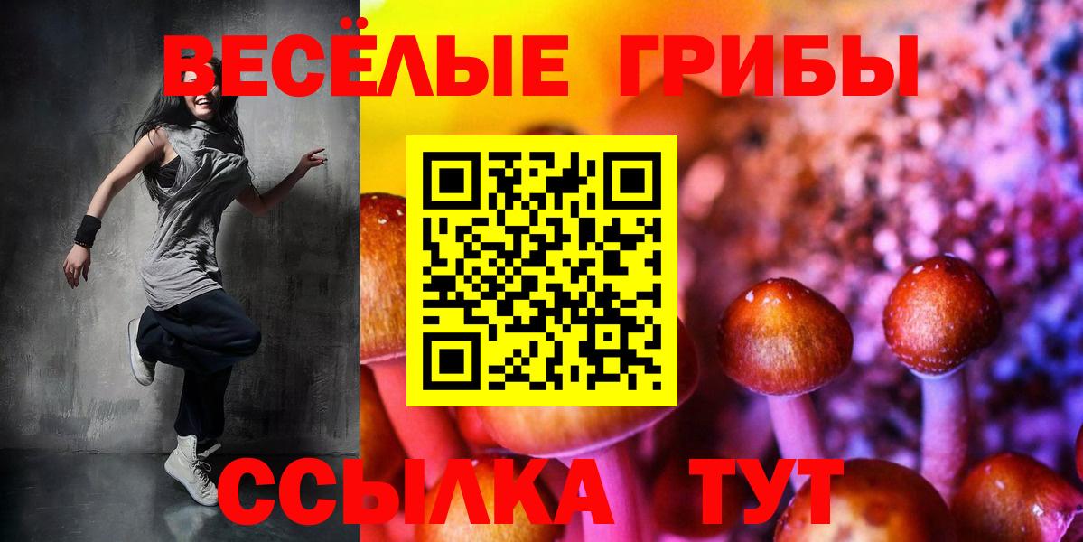 Псилоцибиновые грибы Cubensis Алейск